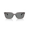 Ray-Ban 0RB4439D