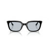 Ray-Ban 0RB4439D