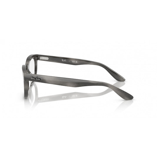 Ray-Ban 0RX5489