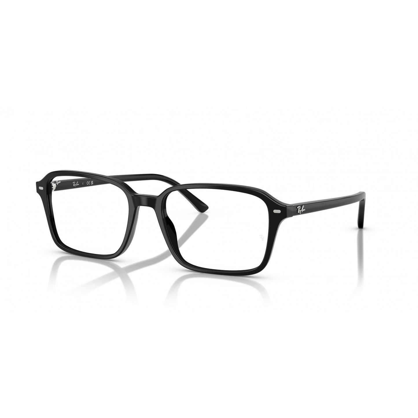Ray-Ban 0RX5431