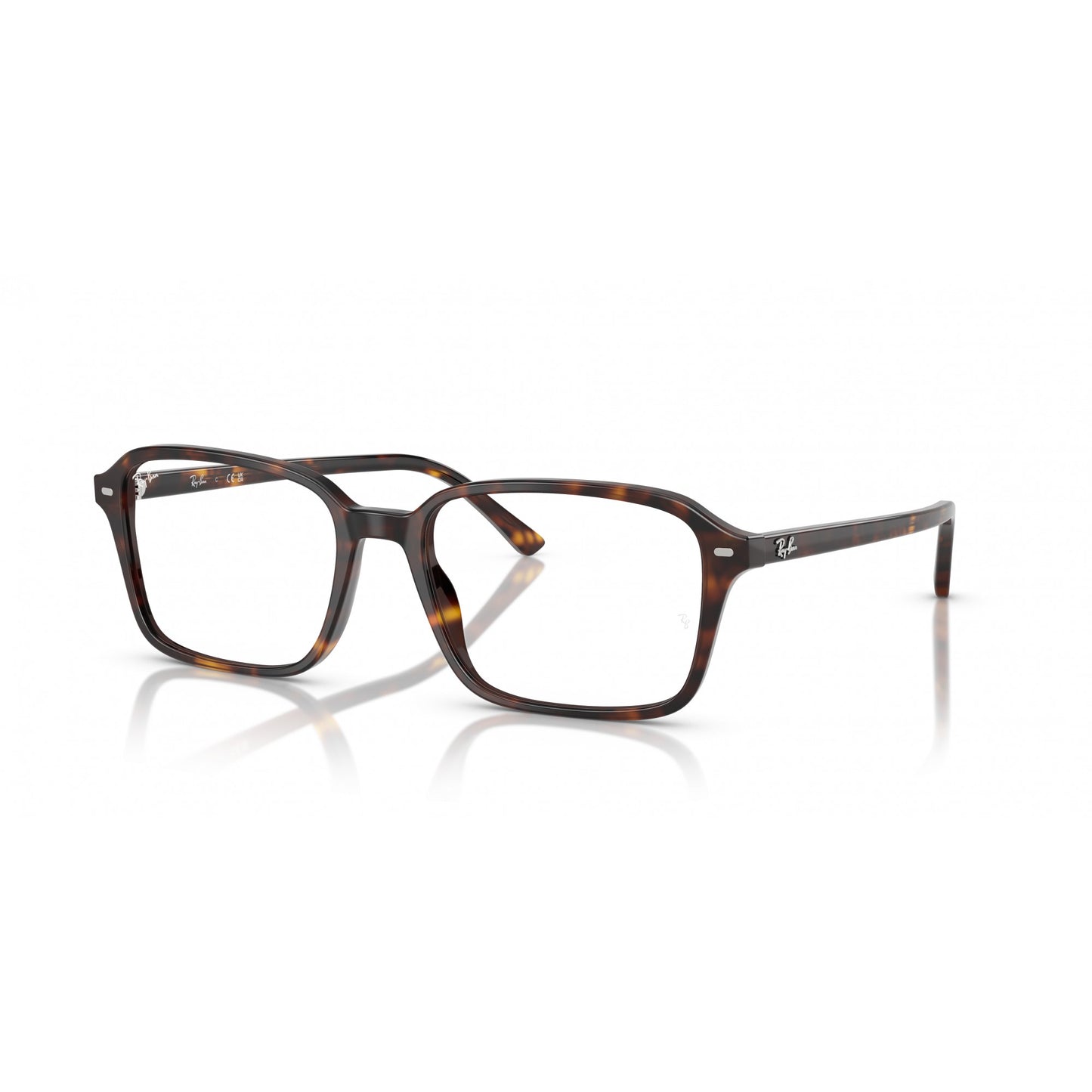 Ray-Ban 0RX5431