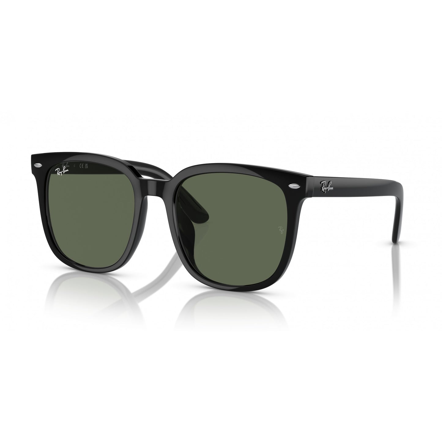 Ray-Ban 0RB4401D
