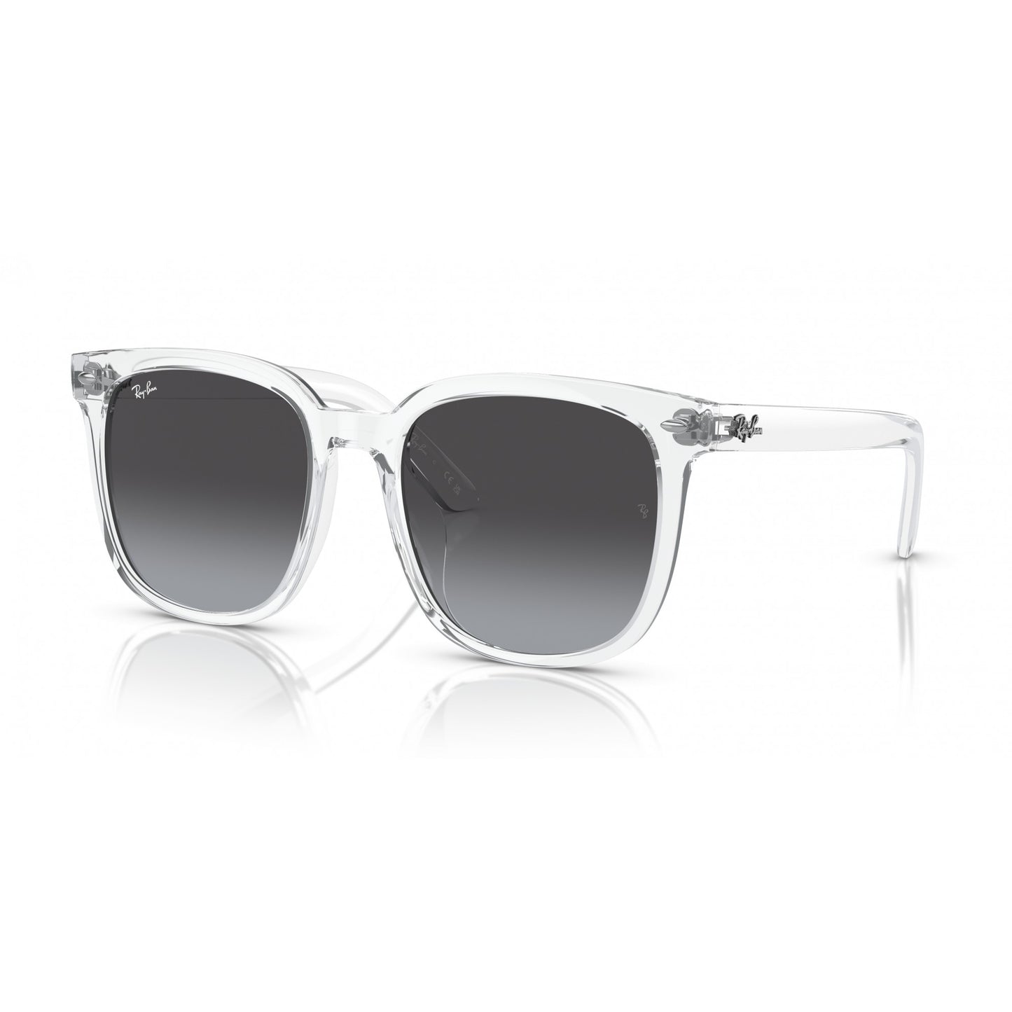 Ray-Ban 0RB4401D