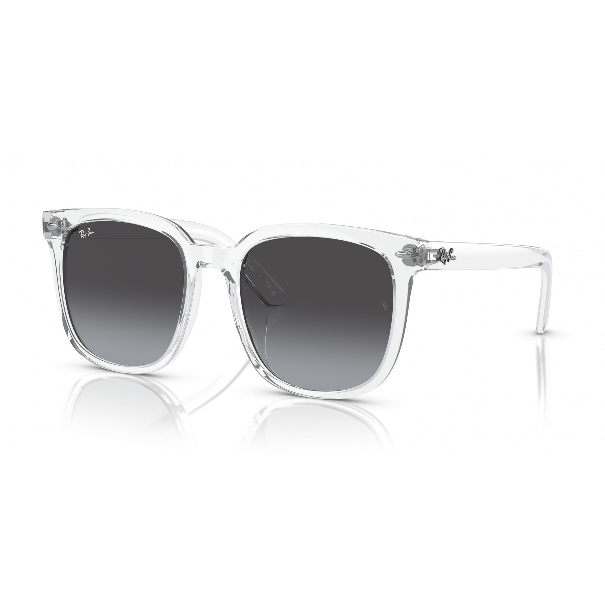 Ray-Ban 0RB4401D