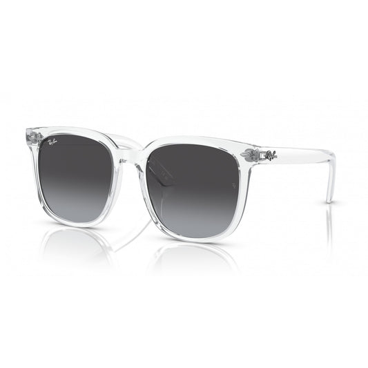 Ray-Ban 0RB4401D