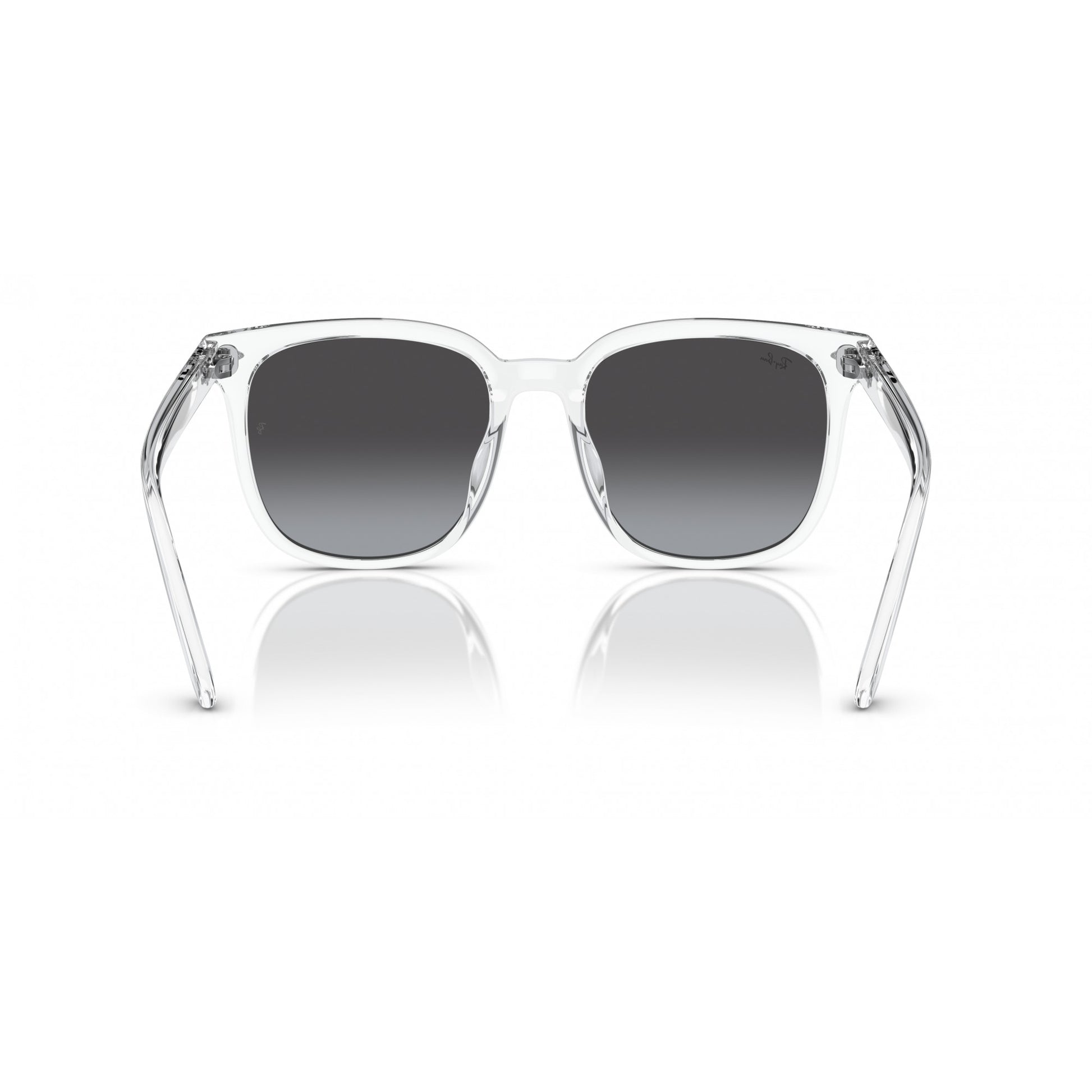 Ray-Ban 0RB4401D