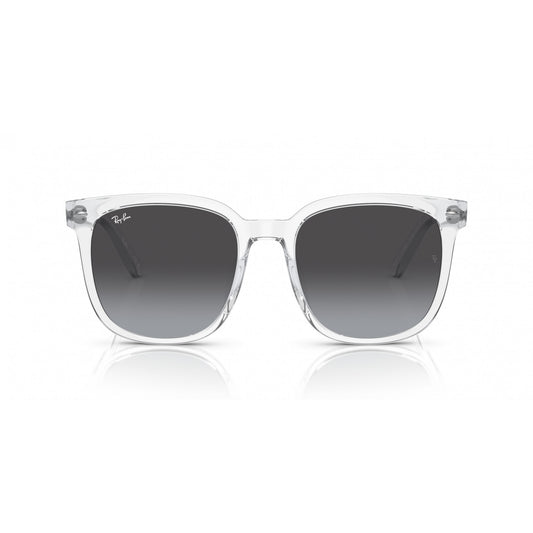 Ray-Ban 0RB4401D
