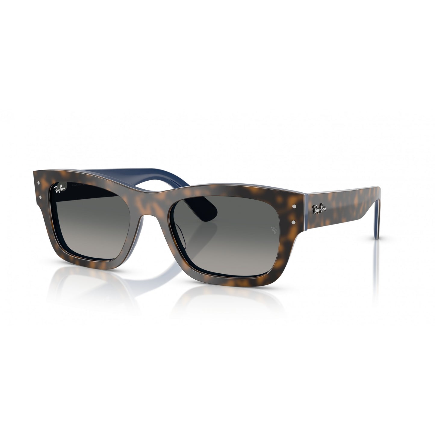 Ray-Ban 0RB7683S