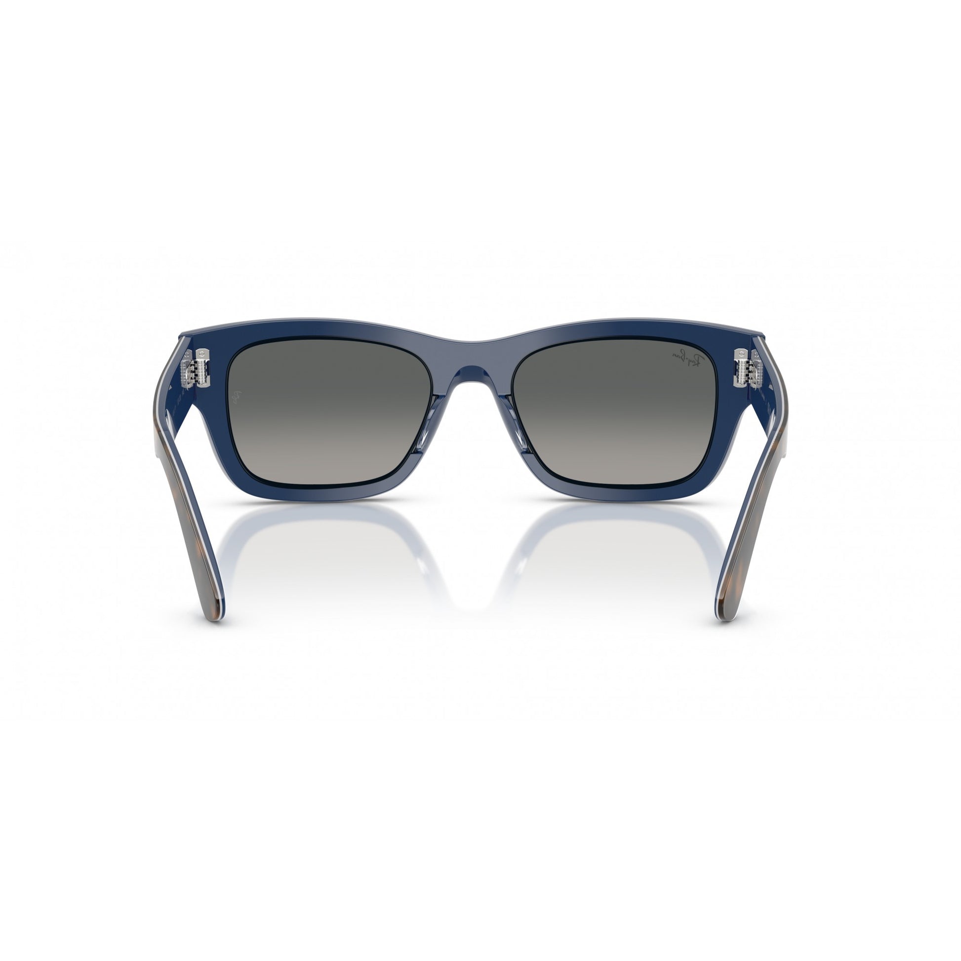 Ray-Ban 0RB7683S