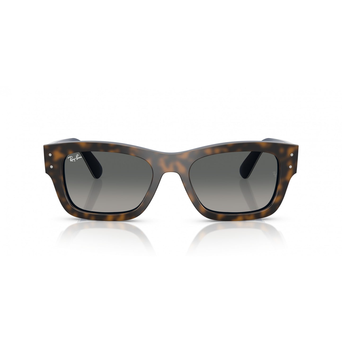 Ray-Ban 0RB7683S