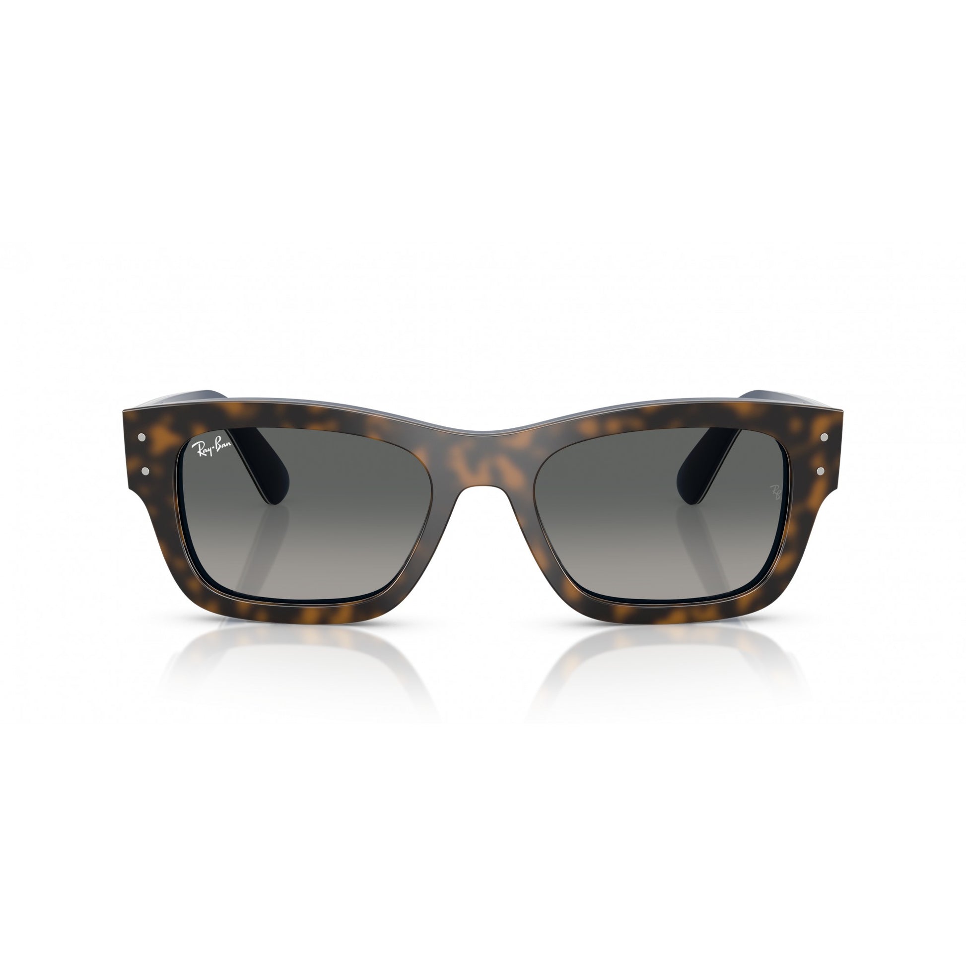 Ray-Ban 0RB7683S