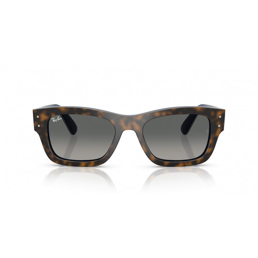 Ray-Ban 0RB7683S