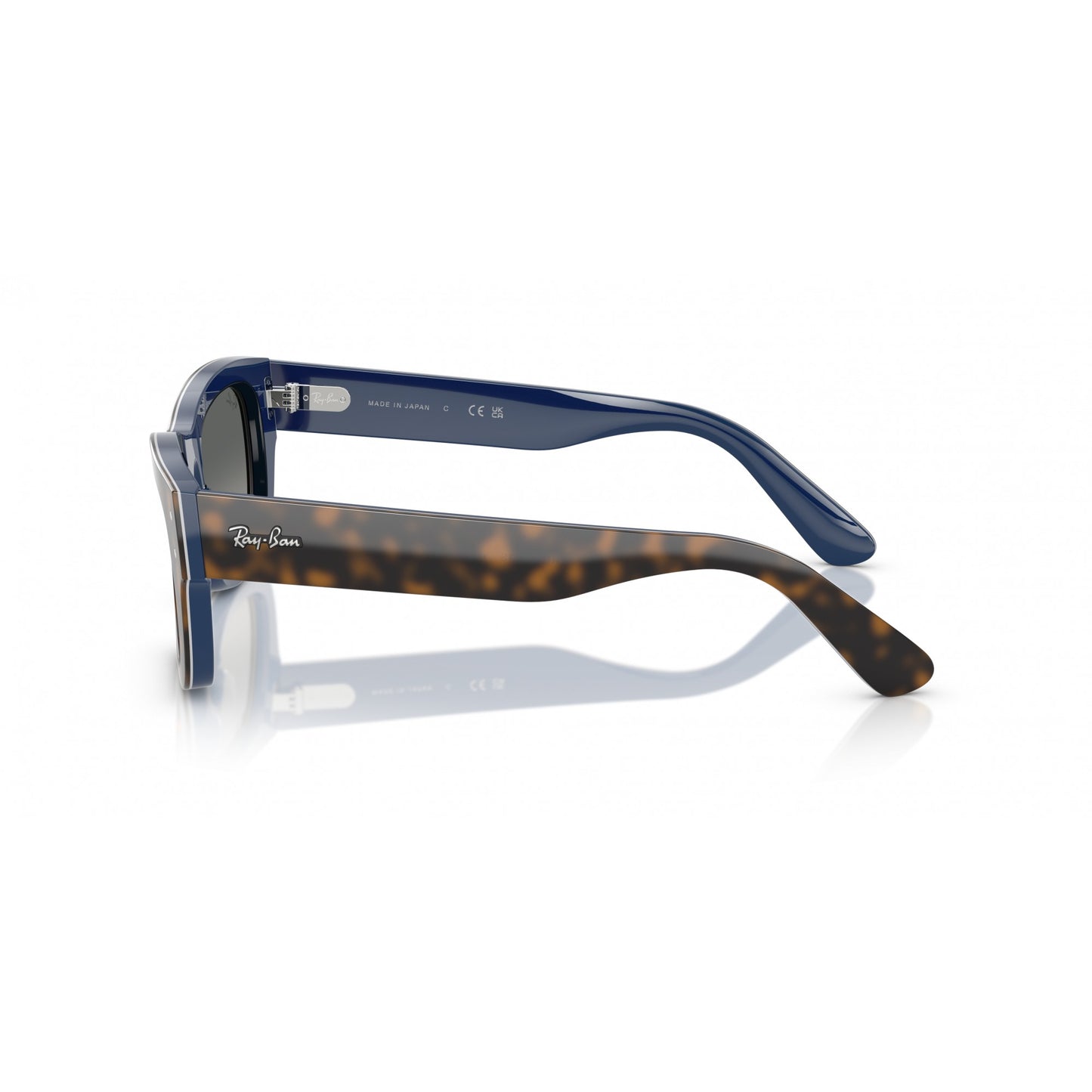 Ray-Ban 0RB7683S