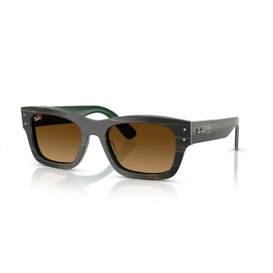 Ray-Ban 0RB7683S
