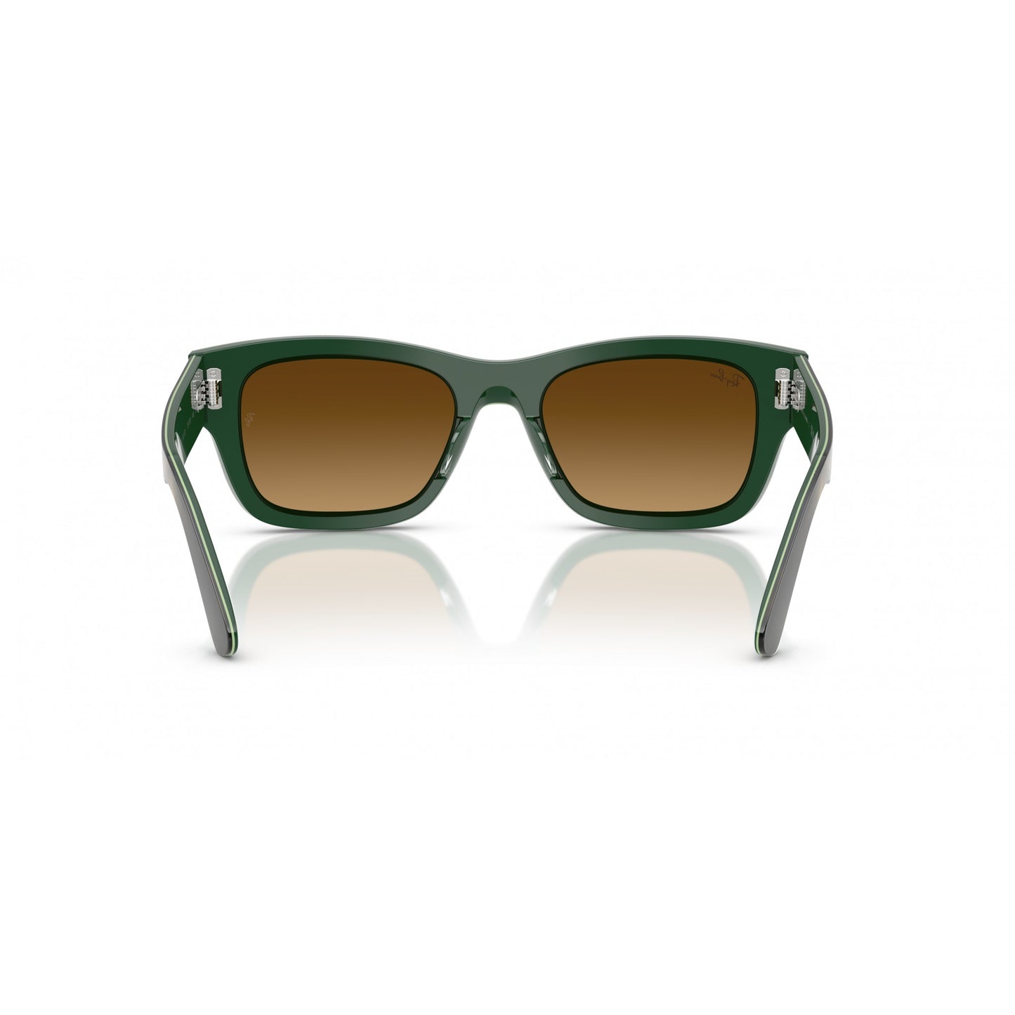 Ray-Ban 0RB7683S