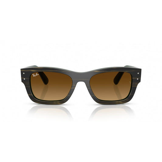 Ray-Ban 0RB7683S