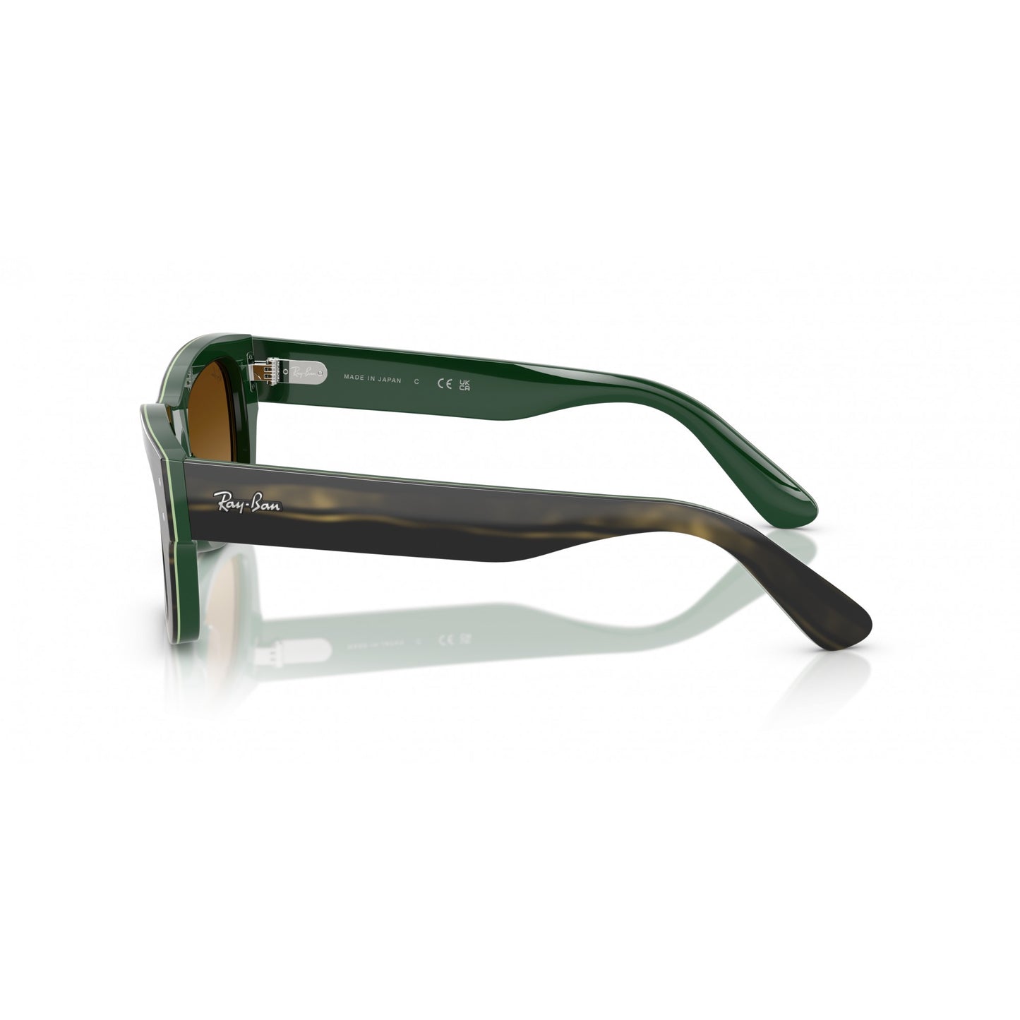 Ray-Ban 0RB7683S