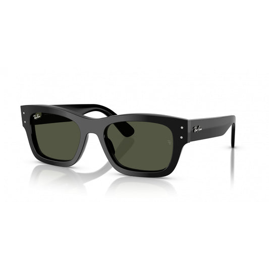Ray-Ban 0RB7683S