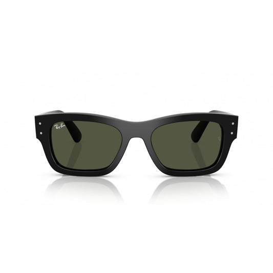 Ray-Ban 0RB7683S