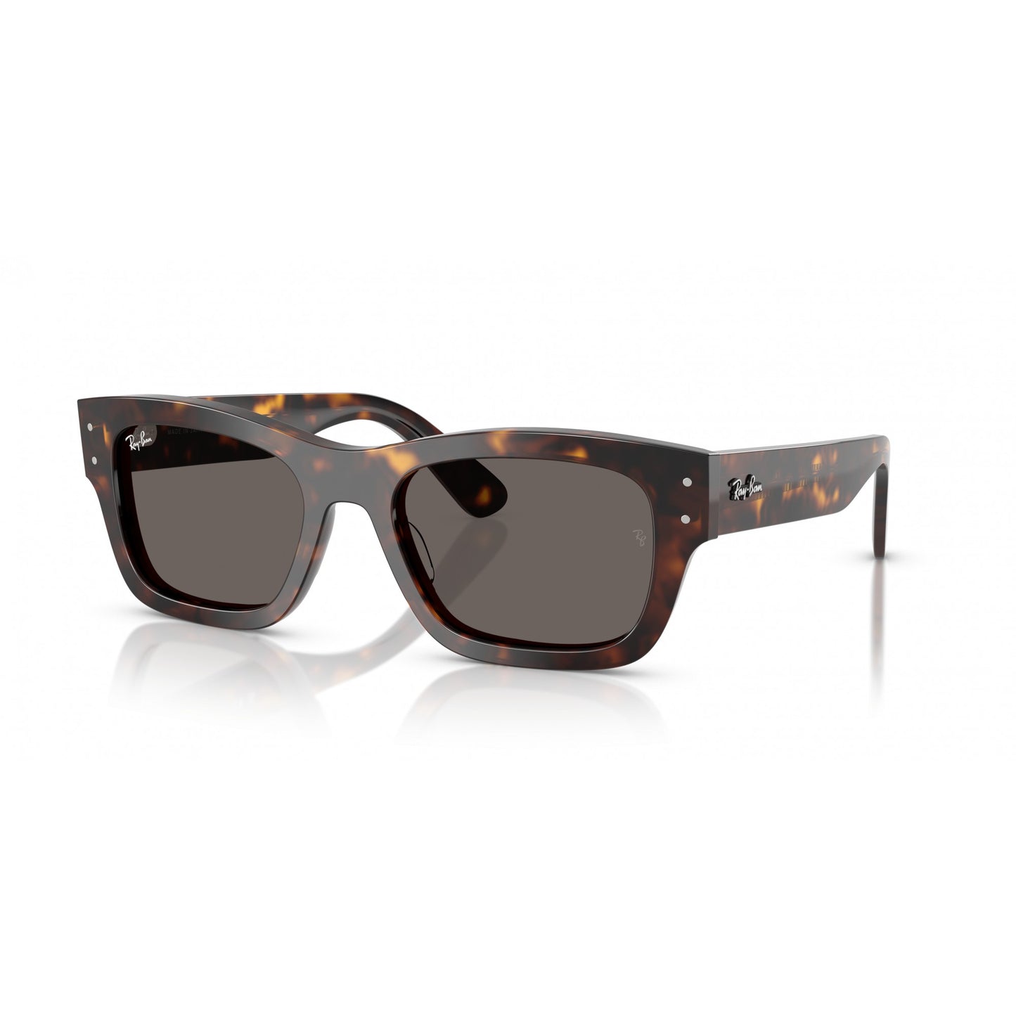 Ray-Ban 0RB7683S