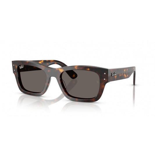 Ray-Ban 0RB7683S