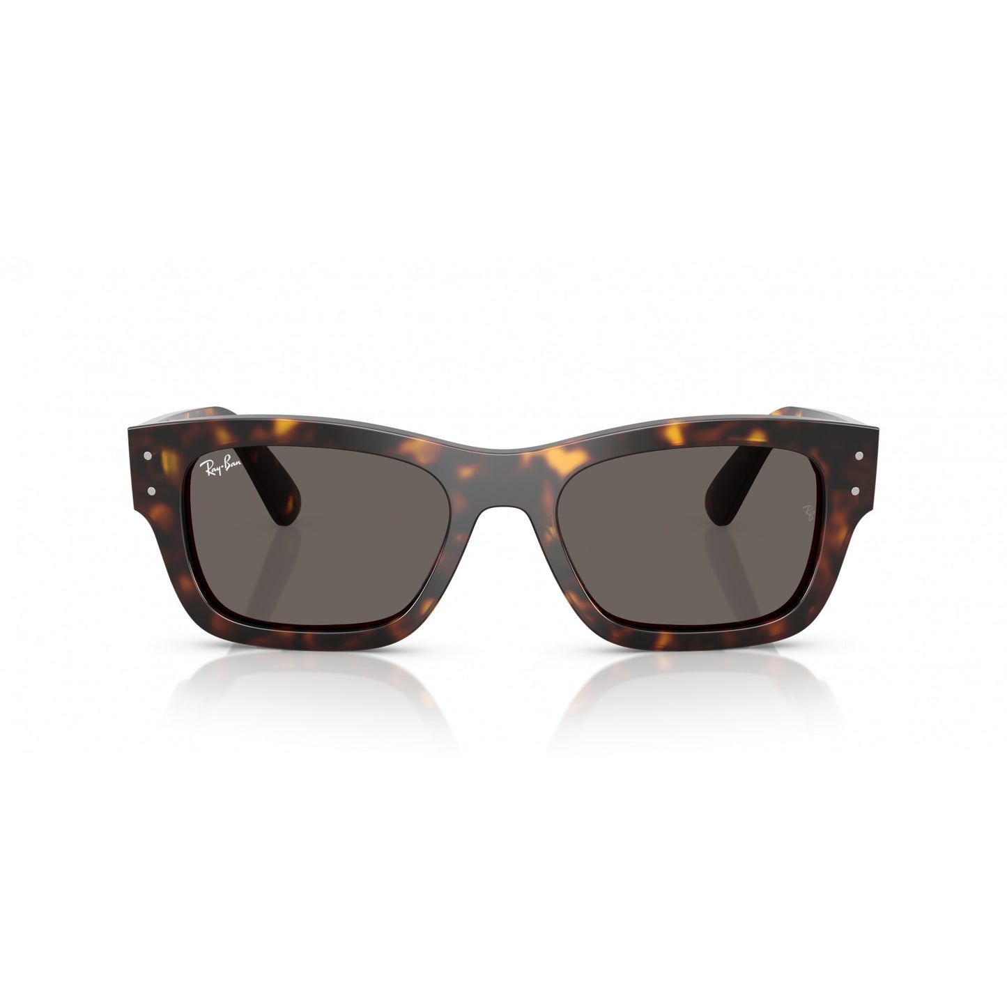 Ray-Ban 0RB7683S