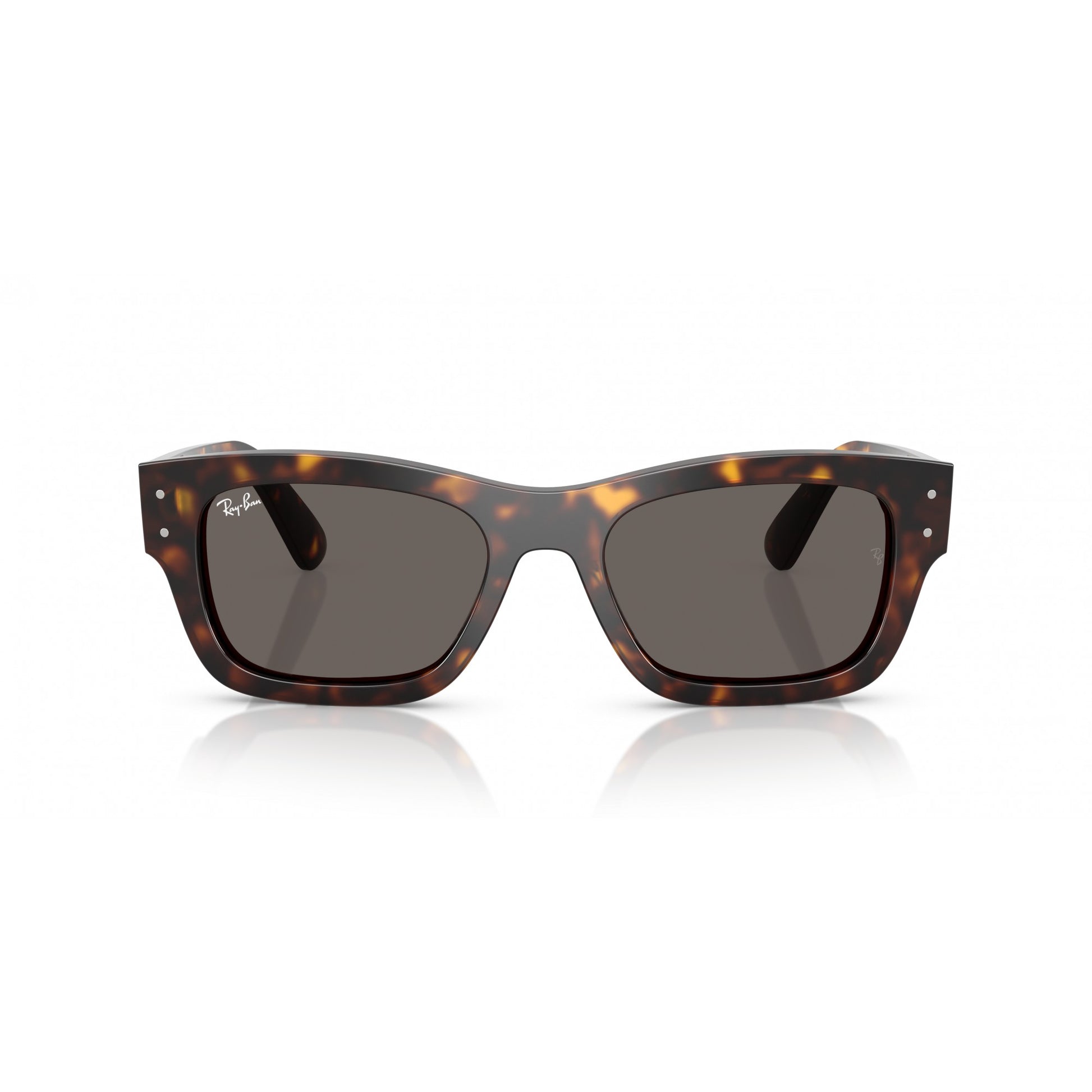 Ray-Ban 0RB7683S