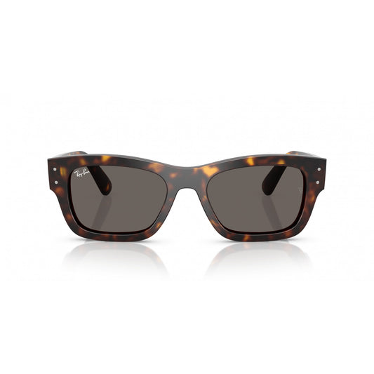Ray-Ban 0RB7683S