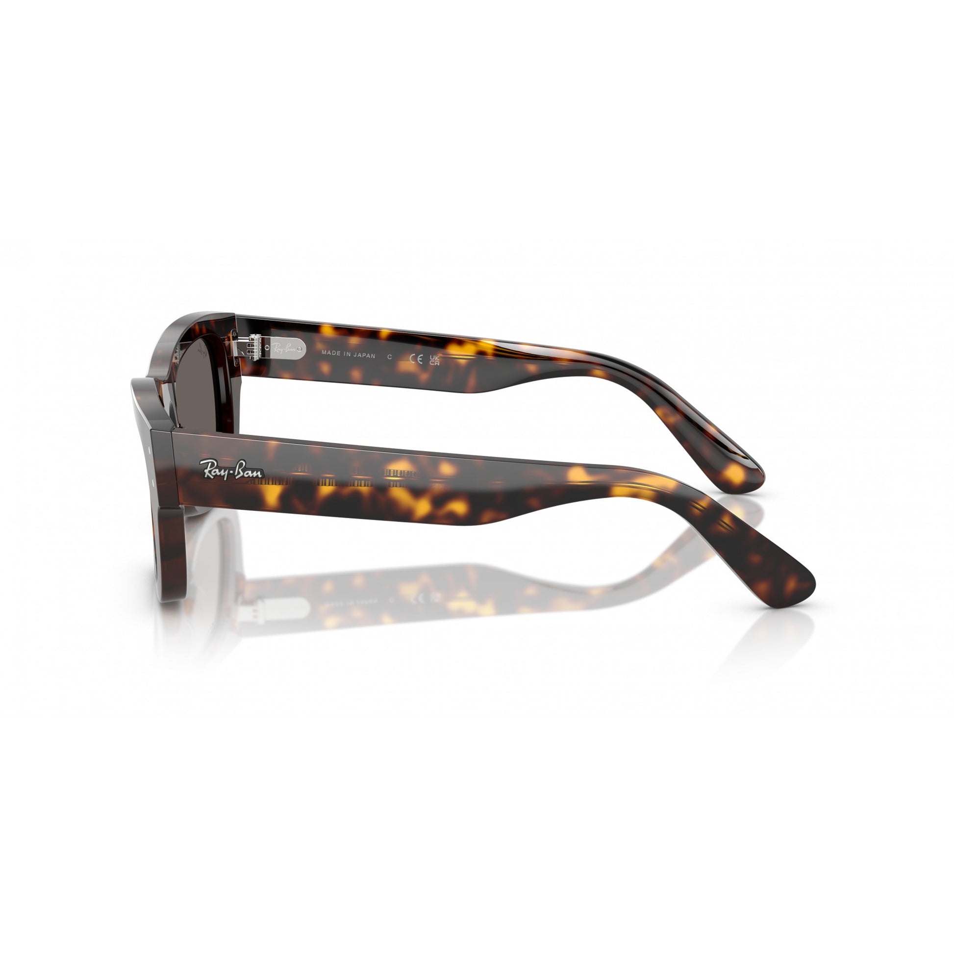 Ray-Ban 0RB7683S