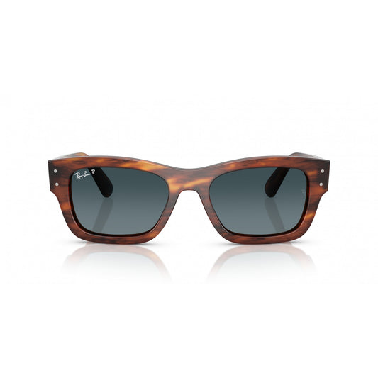 Ray-Ban 0RB7683S