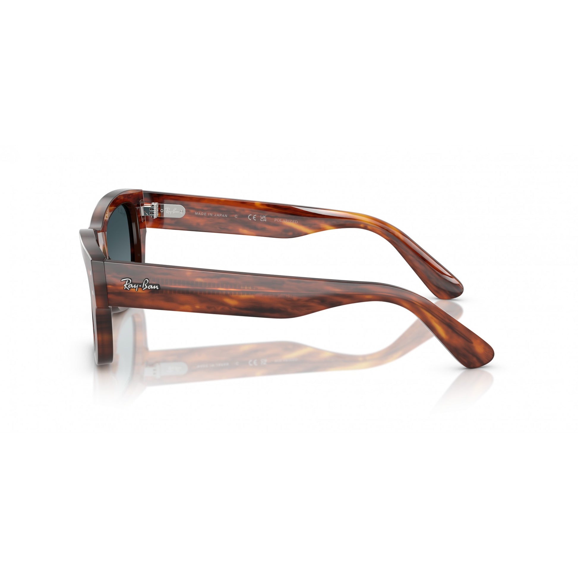 Ray-Ban 0RB7683S