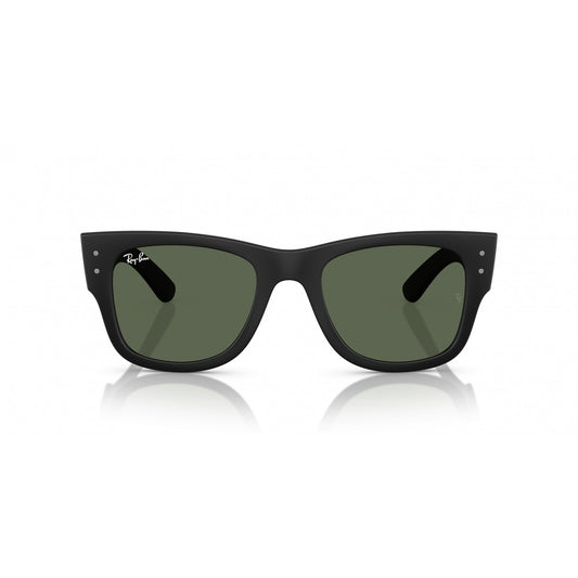 Ray-Ban 0RB4840S