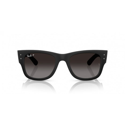 Ray-Ban 0RB4840S