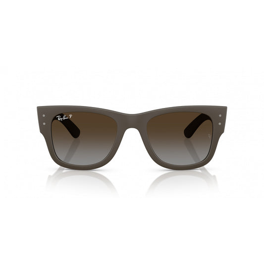 Ray-Ban 0RB4840S