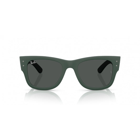 Ray-Ban 0RB4840S