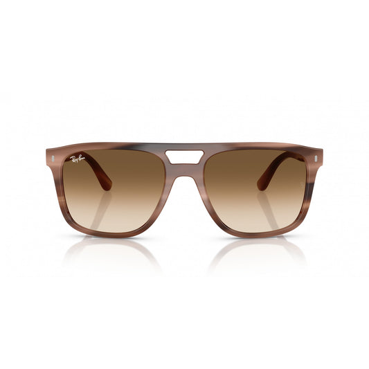 Ray-Ban 0RB2213