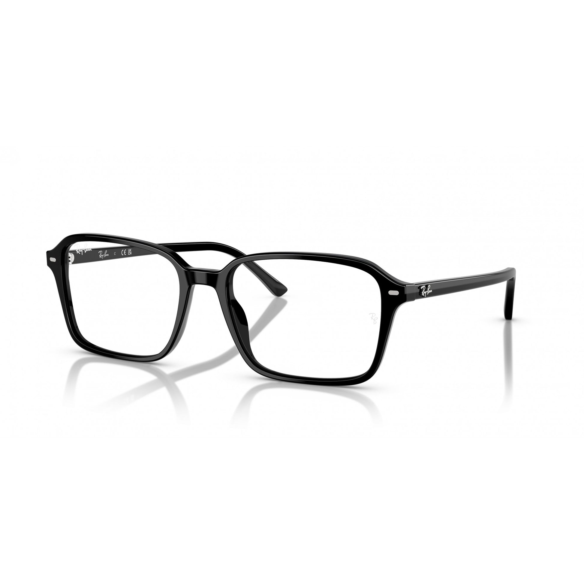 Ray-Ban 0RB2231