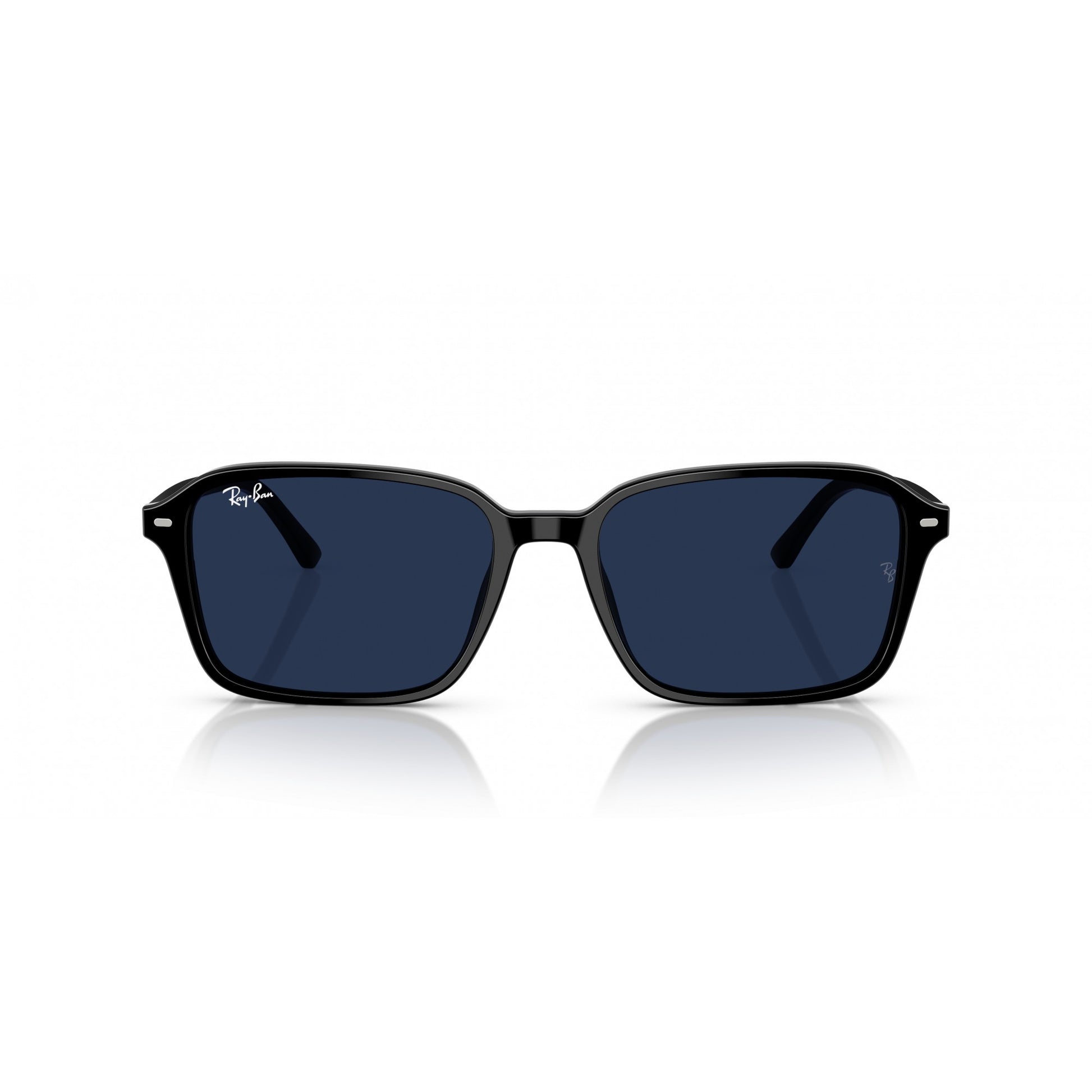 Ray-Ban 0RB2231
