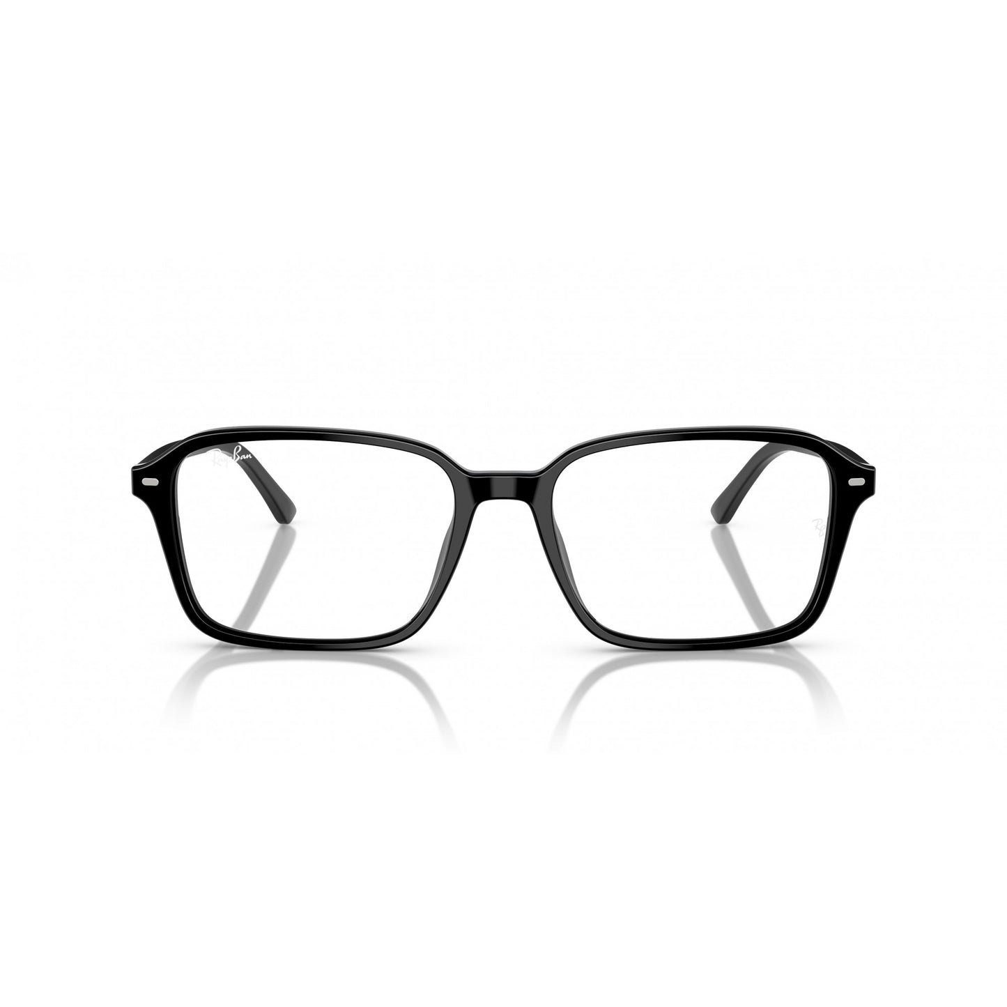 Ray-Ban 0RB2231