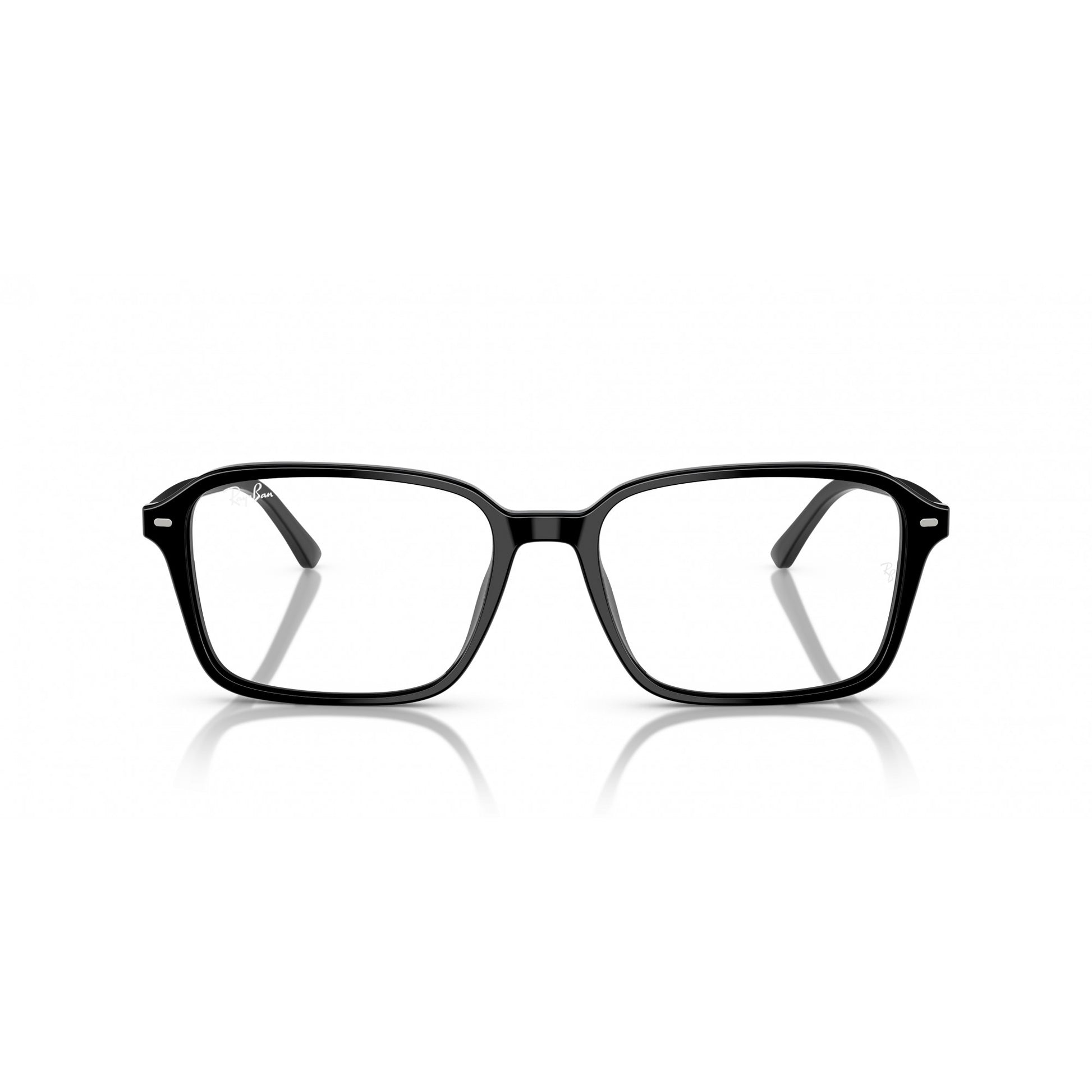 Ray-Ban 0RB2231