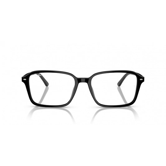 Ray-Ban 0RB2231