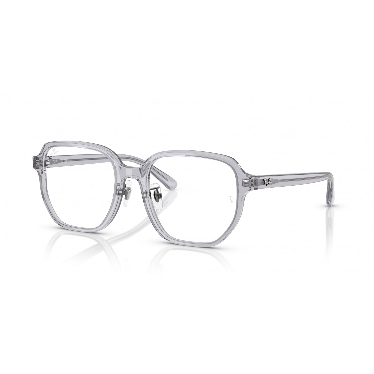 Ray-Ban 0RX5424D