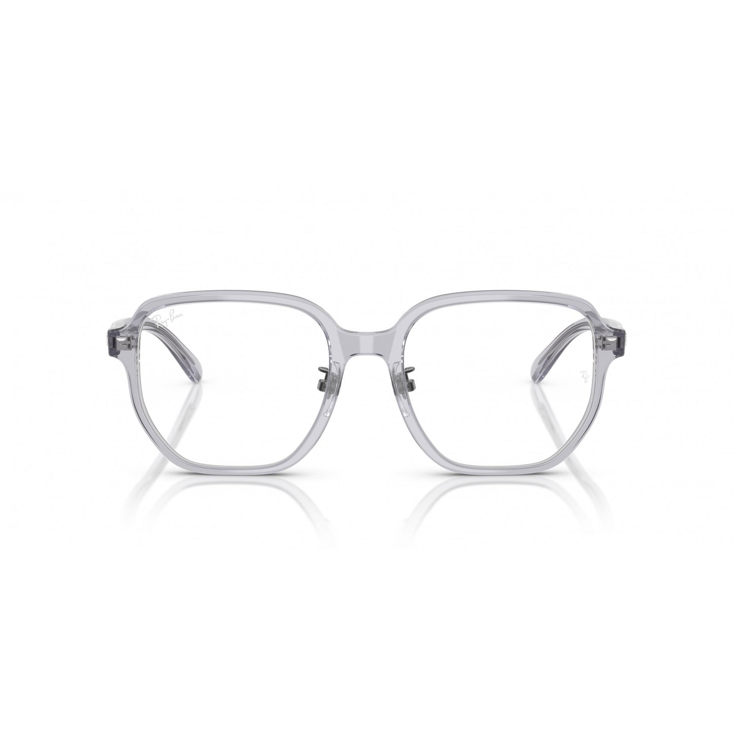 Ray-Ban 0RX5424D