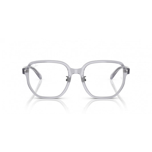 Ray-Ban 0RX5424D