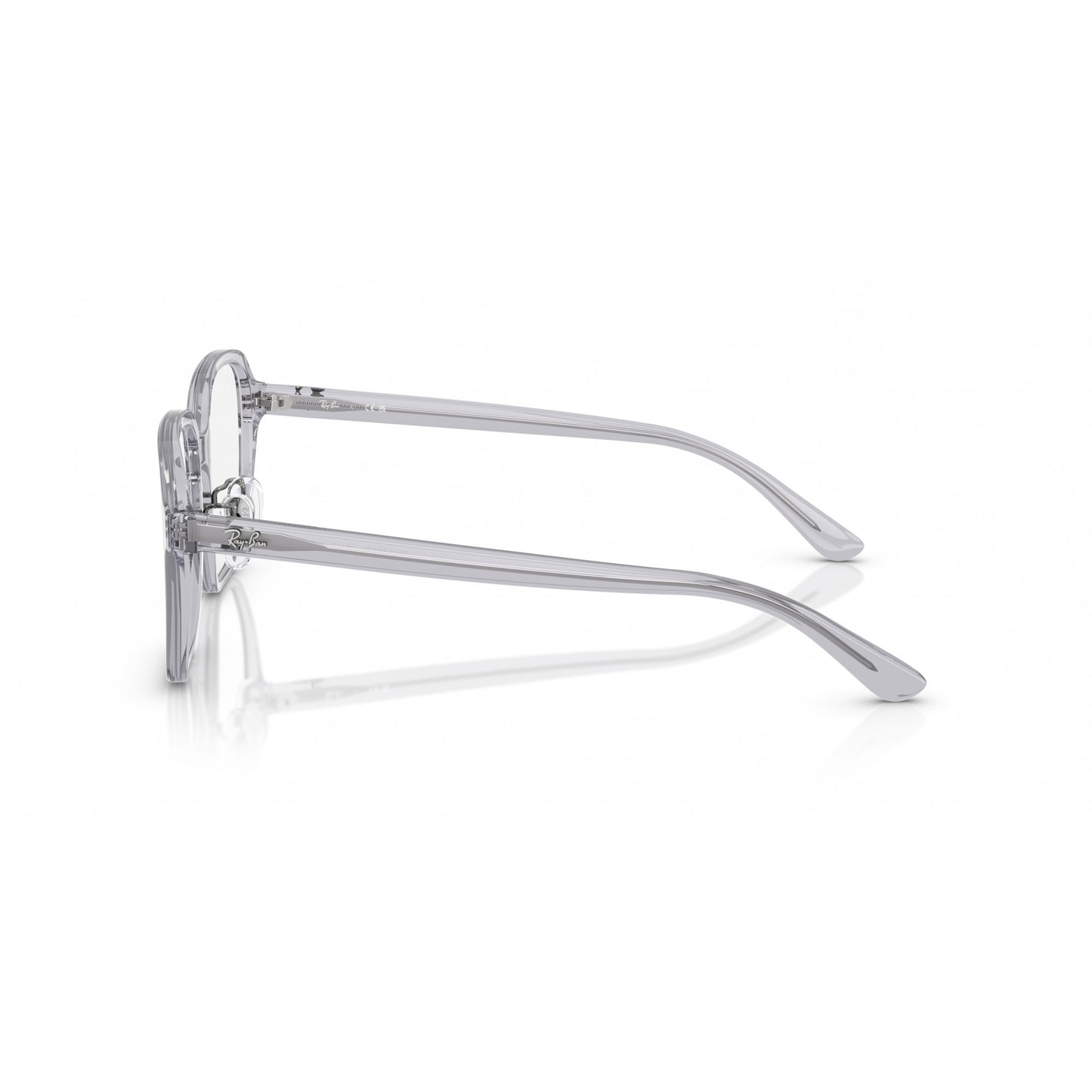 Ray-Ban 0RX5424D