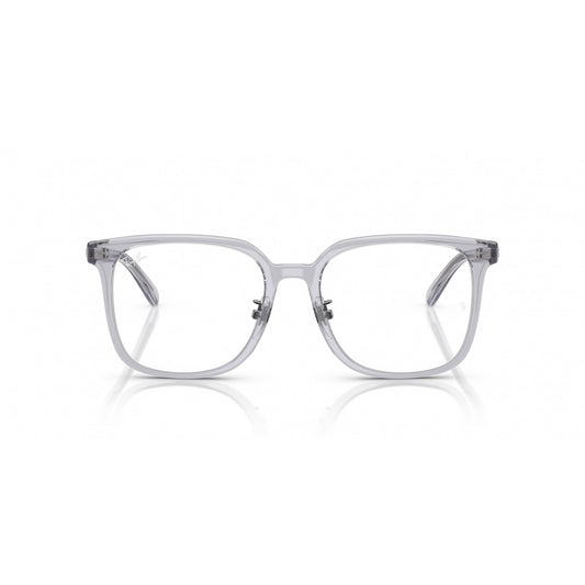 Ray-Ban 0RX5419D