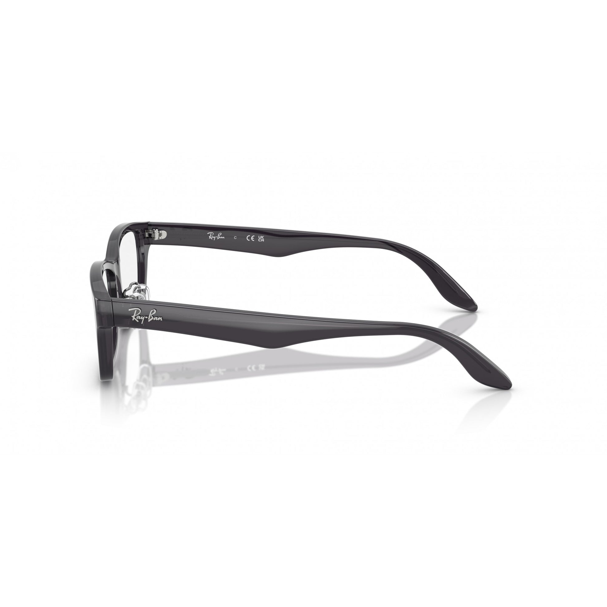 Ray-Ban 0RX5408D