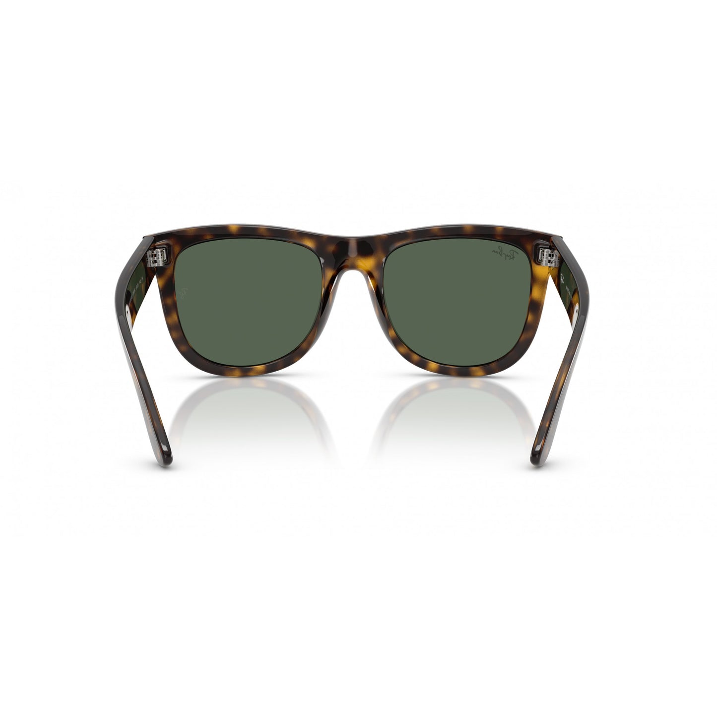 Ray-Ban 0RBR0502S
