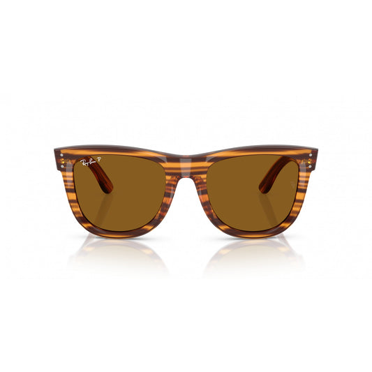 Ray-Ban 0RBR0502S