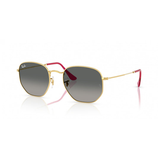 Ray-Ban 0RB3548N